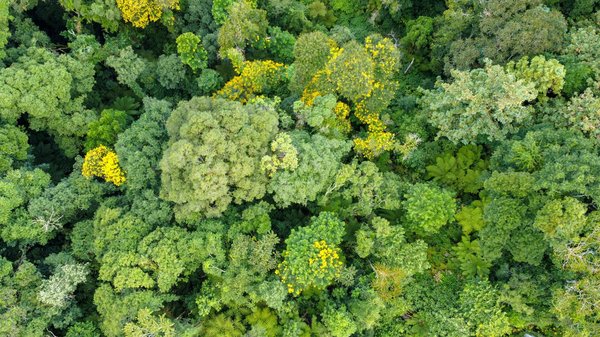 Réussir avec Brio Votre Dépistage Médical d'Embauche : Guide Complet et Pratique