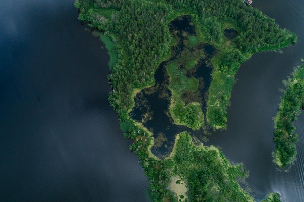 Ressources éducatives en français : pratiques ludiques pour progresser